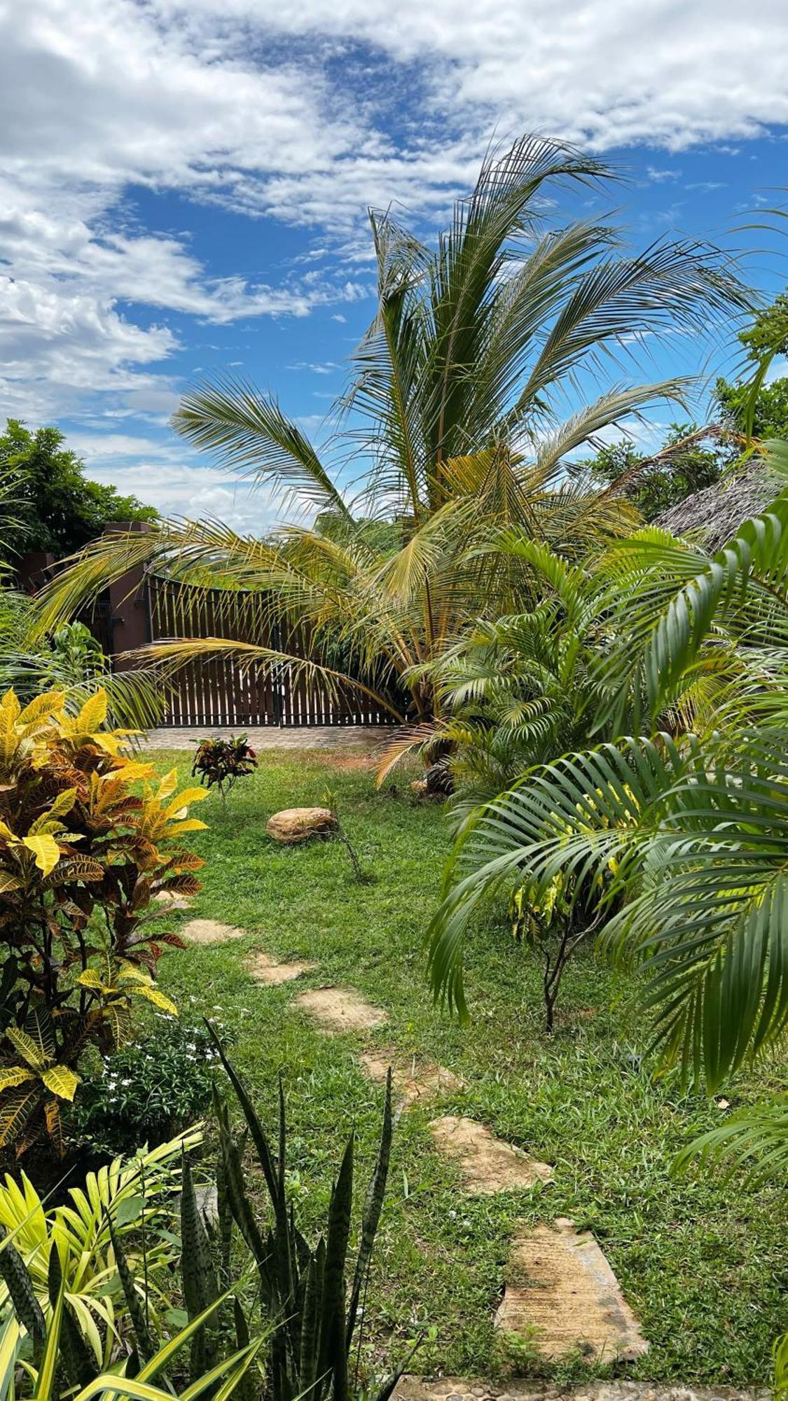 The Lookout Lodge Тангалла Экстерьер фото